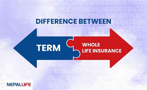 Term vs Whole Life Insurance
